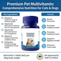 Tablet Multivitamin Hewan Peliharaan Label Pribadi OEM, Kunyah Lembut, Nutrisi, Suplemen Imunitas untuk Anjing dan Kucing