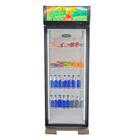 Réfrigérateur vertical à porte vitrée à température unique, écoénergétique, pour boissons, idéal pour les magasins de proximité et les restaurants