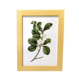 Cornice <span class=keywords><strong>Portafoto</strong></span> in Resina A4 da 6 Pollici, Design Moderno e Semplice, Montaggio a Tavolo e a Parete, Opzioni Multicolore - Product Image 5