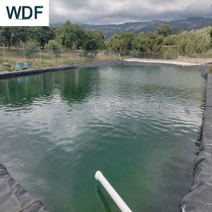 Geomembrana de HDPE para Estanques de Acuicultura, 40mil 60mil de Espesor, para Estanques de Peces - Product Image 3