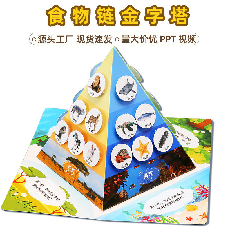 pirámide de la vida