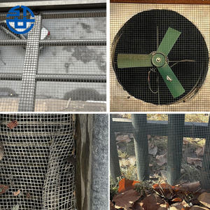 באיכות גבוהה מגולוון חוט פלדה רשת גדר עוף רול רשת פלדה - Product Image 6