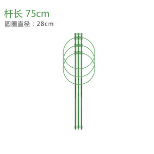 Piquets de soutien <span class=keywords><strong>pour</strong></span> <span class=keywords><strong>plantes</strong></span> d'intérieur et d'extérieur flexibles et durables de qualité supérieure <span class=keywords><strong>pour</strong></span> les <span class=keywords><strong>plantes</strong></span> à épandre dans les pots de fleurs et les jardinières - Product Image 4
