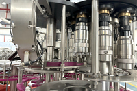 Machine de remplissage automatique de boissons gazeuses à petite échelle à bon prix