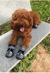 <span class=keywords><strong>Bottes</strong></span> en PU <span class=keywords><strong>pour</strong></span> chiens de taille moyenne, chaussures de sport <span class=keywords><strong>pour</strong></span> chiens, chaussures d'hiver <span class=keywords><strong>pour</strong></span> animaux de compagnie avec molleton, <span class=keywords><strong>meilleures</strong></span> ventes - Product Image 6
