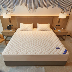 ผ้าคลุมป้องกันฝุ่นสำหรับที่นอน & อุปกรณ์ป้องกัน - Product Image 2