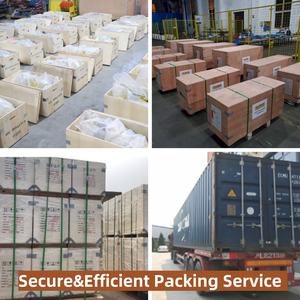 Rantai listrik industri baru <span class=keywords><strong>Hoist</strong></span> 5Ton untuk Hotel | Bersertifikat CE | Perlindungan kelebihan beban | Pengiriman cepat ke Amerika Latin - Product Image 6