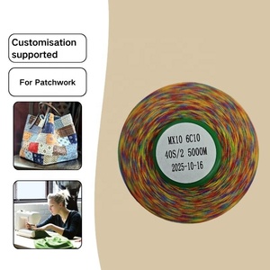 6c10 Polyester variegated chủ đề màu sắc cho các nhà máy may mặc thời trang thương hiệu số lượng lớn quần áo thêu khâu thiết kế trang trí - Product Image 1