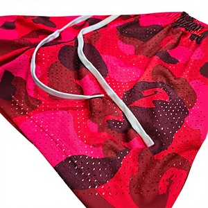 Pantalones Cortos Deportivos de Malla Transpirable para Hombre, Cintura Elástica, Estilo Casual Urbano Y2K, Moda Verano, Proveedor de EE. UU. - Product Image 4