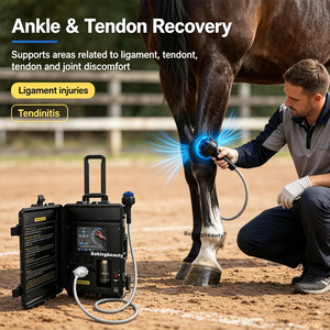 Appareil de thérapie par ondes de choc focalisées pour équidés, durable et réutilisable, avec sortie stable à long terme, <span class=keywords><strong>prix</strong></span> direct usine - Product Image 1