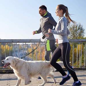 Laisse rétractable automatique en nylon réfléchissant pour chien, laisse extensible pour animaux de compagnie pour la promenade, anti-emmêlement Ps525 Ps-Lh - Product Image 3