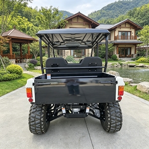 Véhicule utilitaire électrique tout-terrain 4 places 4x4 pour camping, parc, Airbnb, <span class=keywords><strong>ranch</strong></span> - Product Image 6