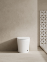 WC intelligent électrique moderne 110V/220V, cuvette de toilette en céramique de luxe, toilette intelligente automatique avec bidet, fixation murale