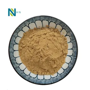Functional Mushroom extract Pure Natural Bisporus Polysaccharide 10%-30% Agaricus Bisporus Extract