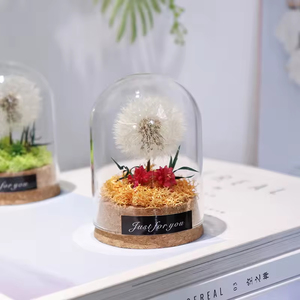Domo de Cristal Transparente con Base de Corcho Natural, con Flor de Diente de León Preservada, Hecho a Mano, a Prueba de Polvo - Product Image 5