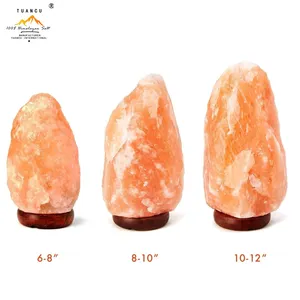 Pink Himalayan Iron Salt LED Lamps Importer Himalayan Salt Lamps With Switch And Wooden Base Electric Cable