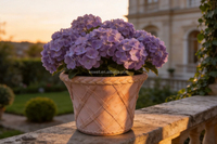 Pots vintage en terre cuite à motif en relief en treillis, ronds, pour arbustes fleuris, ornement de jardin