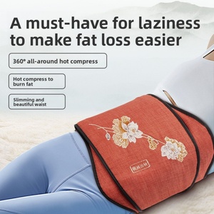 Cinturón de Microacupuntura EMS |   Dispositivo de Fisioterapia con Compresión Caliente y Presión de Aire |   Masajeador de Fitness de Temperatura Constante - Product Image 5