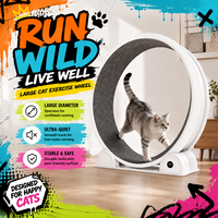 Tapis roulant intelligent pour chat et chien |   Technologie anti-pincement avancée |   Équipement d'exercice pliable, durable, en ABS, respectueux de l'environnement