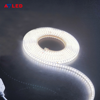 Atenuador exterior de alta calidad 220V SMD2835 120LED/M Dreamcolor Light Strings IP65 impermeable para Touch/App/Control remoto