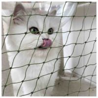 Filet de protection pour balcon et fenêtres en nylon résistant aux intempéries et fil d'acier inoxydable, sur mesure, pour chats - Fournisseur d'usine
