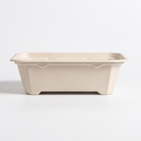 Barquette alimentaire jetable en bagasse compostable et biodégradable pour fruits, idéale pour les supermarchés