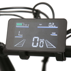 Hot Sale With <b>Frame</b> 20 Inch 48V 250W LCD Rear Hub Motor Disc Fat Tire Motorcycle Ebike Hiten Steel Motorcycle <b>Frame</b> 20"x4.0 - Product Image 3