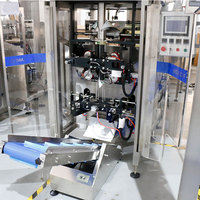 Machine à emballer de sac de glaçon de 1KG 2KG 5KG de pesage automatique à grande vitesse
