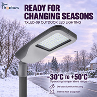 Lampadaire LED de qualité supérieure avec système de contrôle intelligent pour les routes urbaines et les communautés résidentielles