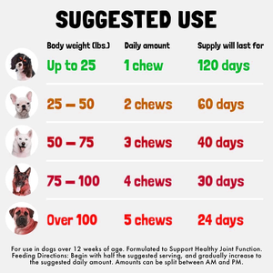 OEM Biologische Valeriaanwortel Kava Kava Zachte Kauwtabletten voor Honden, Gemaakt in Guangdong, Immuunsysteem Ondersteuning, Kalmerende Traktaties, Natuurlijke Hondenangstverlichting - Product Image 4