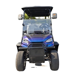 Carrito de Golf Eléctrico 4X4 en Oferta, Entrega Rápida, Económico, de 2/4/6/8 Plazas - Product Image 1