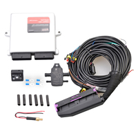 Kits ECU à 6 cylindres pour conversion GPL/GNC de voitures, stables et durables, GPL GNC 256