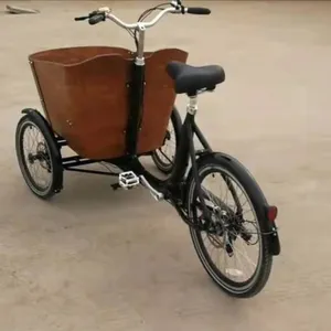Vélo cargo à 2 roues de 20 à 26 pouces avec boîte de transport, pour le transport des enfants