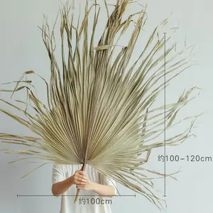 Décor de mariage Amazon Offre Spéciale feuilles De Palmiers séchées ventilateur taille personnalisée pour la décoration