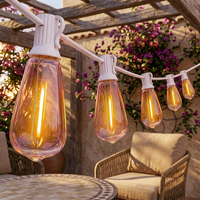 Guirlandes lumineuses de jardin en cristal ST38 LED, télécommandées, étanches, à intensité variable |   Ampoules incassables remplaçables connectables AC 85-265V
