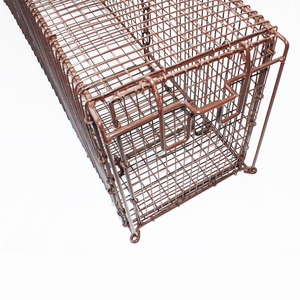 Meilleure vente petit piège à souris et écureuil en cage piège à martre pour animaux vivants à entrée supérieure piège à martre en fer écologique <span class=keywords><strong>antiparasitaire</strong></span> pour rats - Product Image 2