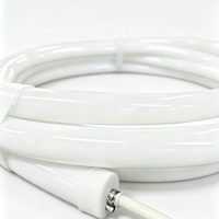 Vente en gros de 360 degrés de silicone de qualité alimentaire blanc 3000K,4000K,6000K RVB couleur intelligente 240 Leds néon Led bande lumineuse