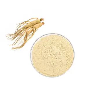 Factory Wholesale Ginsenoside 80%Total Ginsenosides Ginseng Extract Ginseng Leaf Extract