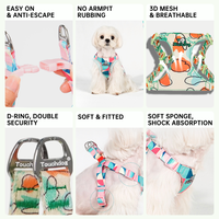 Harnais et laisse ajustables anti-traction pour chien, ensemble de harnais gilet durable haute résistance avec nœud papillon pour chiens de petite/moyenne taille