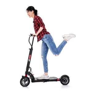 Original 600w dual motor plastic zero 9 electric scooter with 48v 13ah Japan's electric scooter