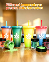 Poudre de pigment thermochromique 31 ℃   Poudre thermosensible activée pour le nail art, la résine, le slime, le savon et les loisirs créatifs DIY