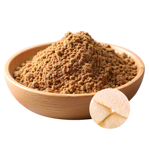 Polvo de Hongo Melena de León Orgánico del Cuerpo Fructífero, 95% Puro, para Uso en Adultos y Apoyo Cognitivo - Product Image 3