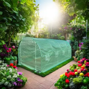 뒤뜰을위한 쉽게 조립 된 가정용 폴리 터널 워크 인 온실 토마토 및 야채 씨앗 성장
