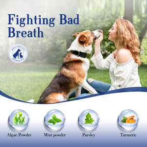 Supplément nutritionnel pour animaux de compagnie ODM/OEM poudre <span class=keywords><strong>vermifuge</strong></span> pour chats chiens pour les soins de santé emballés dans des bouteilles suppléments à base de plantes - Product Image 6