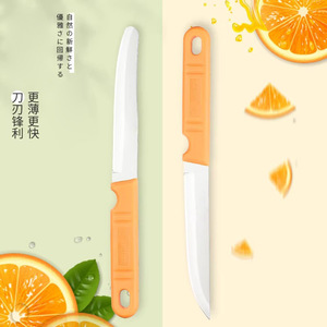 Stainless Steel Fruit Knife 4-5.9in Extra Sharp Portable Peeling Knife For Kitchen Use - Product Image 1