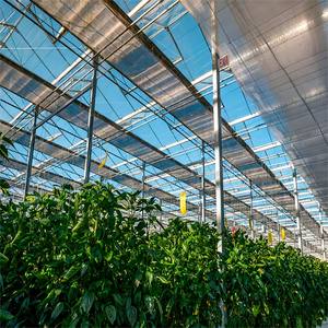 Grande plaque en polycarbonate pour couvrir la serre à structure en acier Venlo, avec dimensions personnalisables et montage facile - Product Image 5