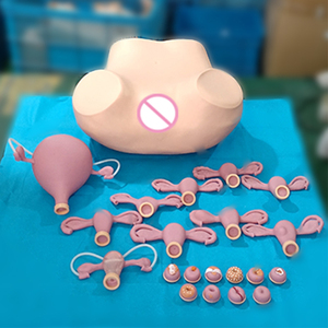 การสอนการแพทย์ Tanning ขั้นสูงหญิงนรีเวชจำลอง <span class=keywords><strong>Examination</strong></span> รุ่น - Product Image 6