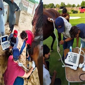 Ecógrafo Veterinario Portátil Dawei Escáner de Ultrasonido Abdominal para Perros - Product Image 3