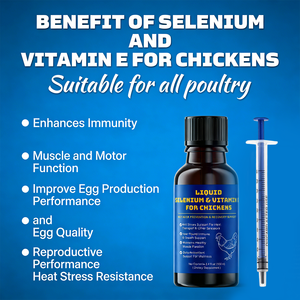 Factory Direct Natural <b>Liquid</b> Selenium & <b>Vitamin</b> E Supplement for Chickens - No Additives, Support Immunity & Egg Production - Product Image 3
