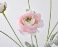 6 Tangkai Bunga Ranunculus Sutra Buatan Tangan Simulasi Tinggi 50cm untuk Dekorasi Ruangan Hari Ibu
